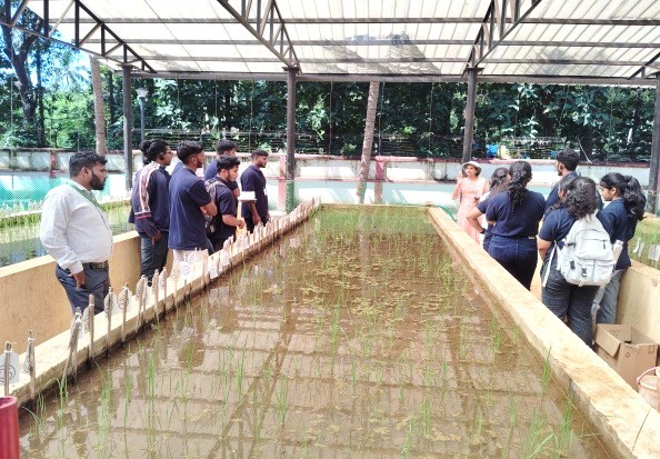 Visit to salinity screening tank of paddy