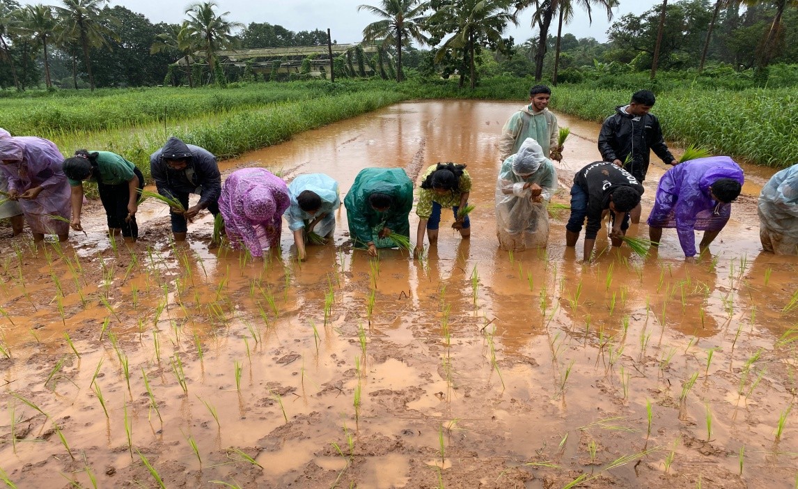 Agrology Image 1