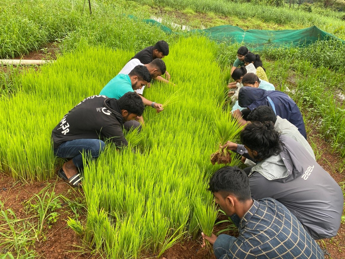 Agrology Image 2