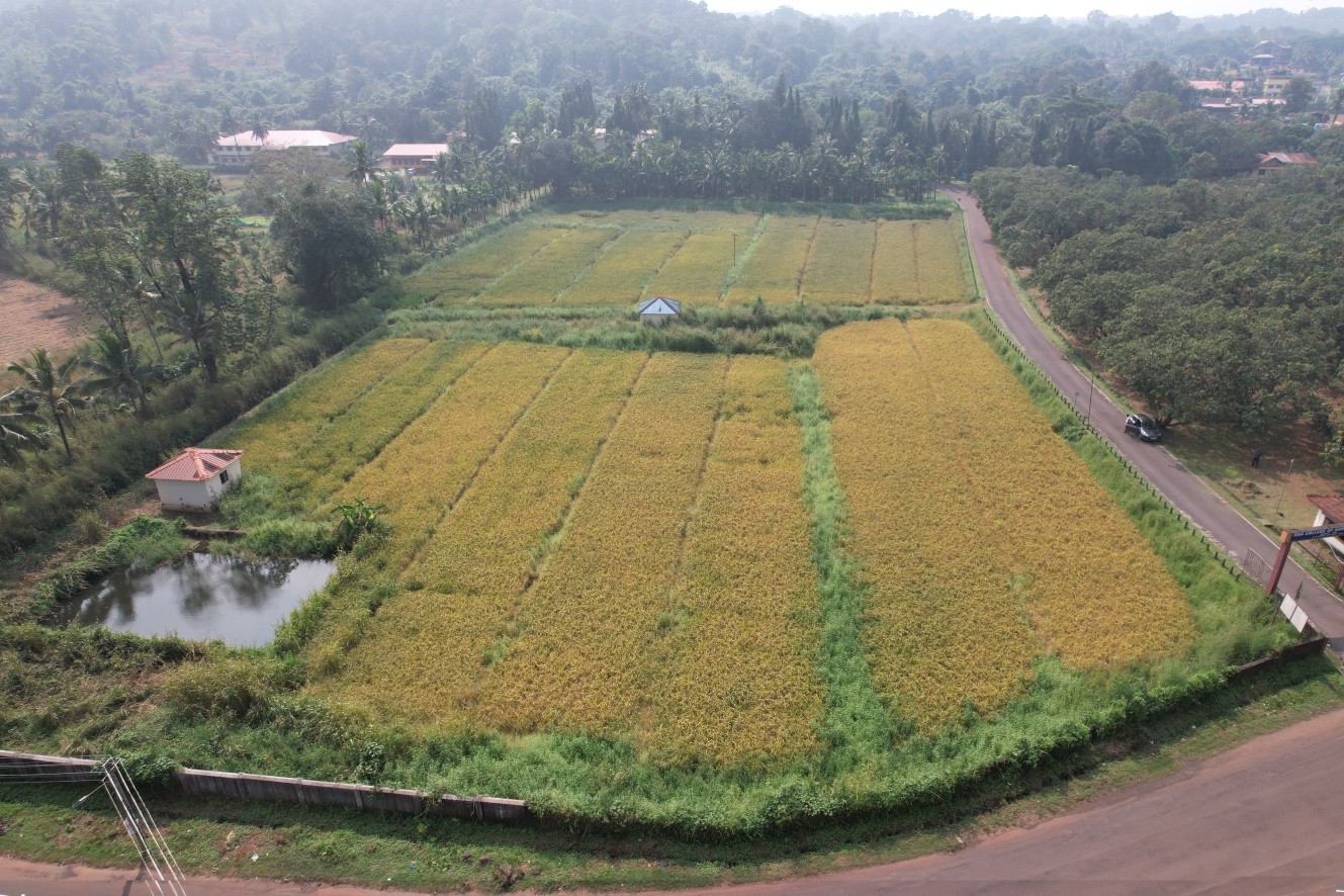 Agrology Image 7
