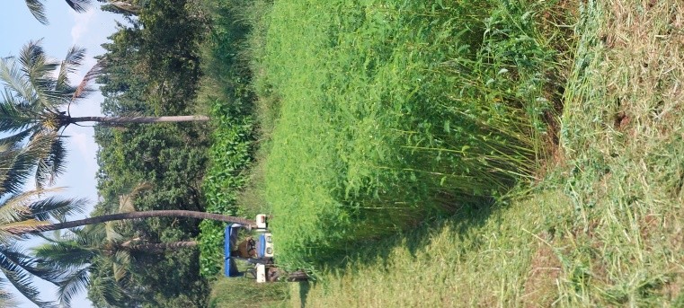 Agrology Image 3