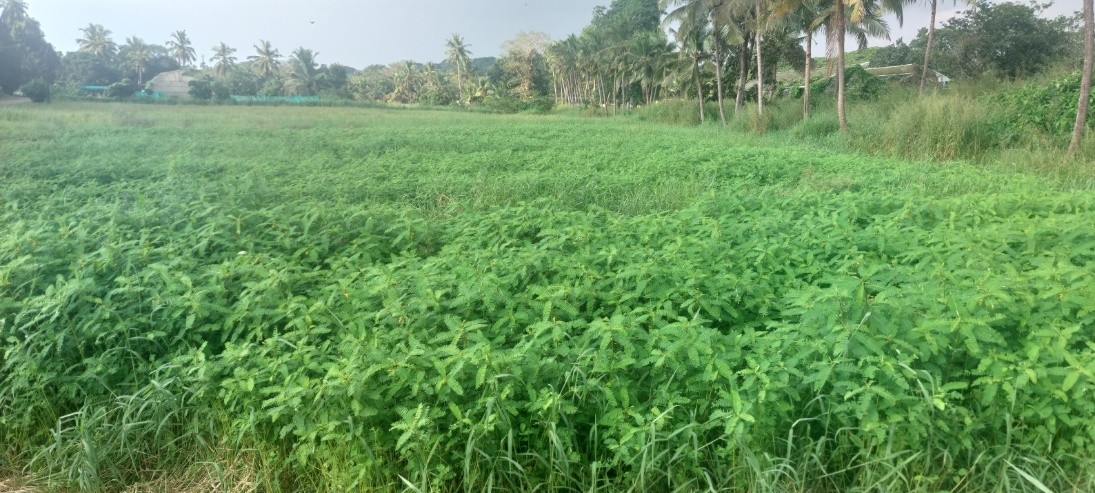 Agrology Image 9