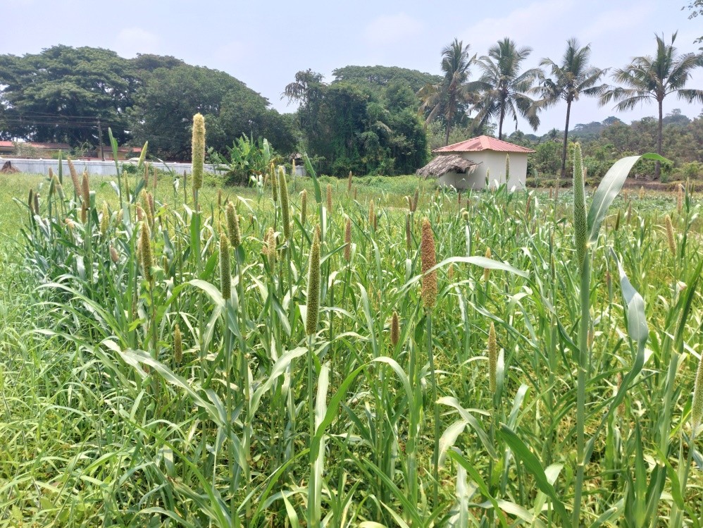 Agrology Image 6